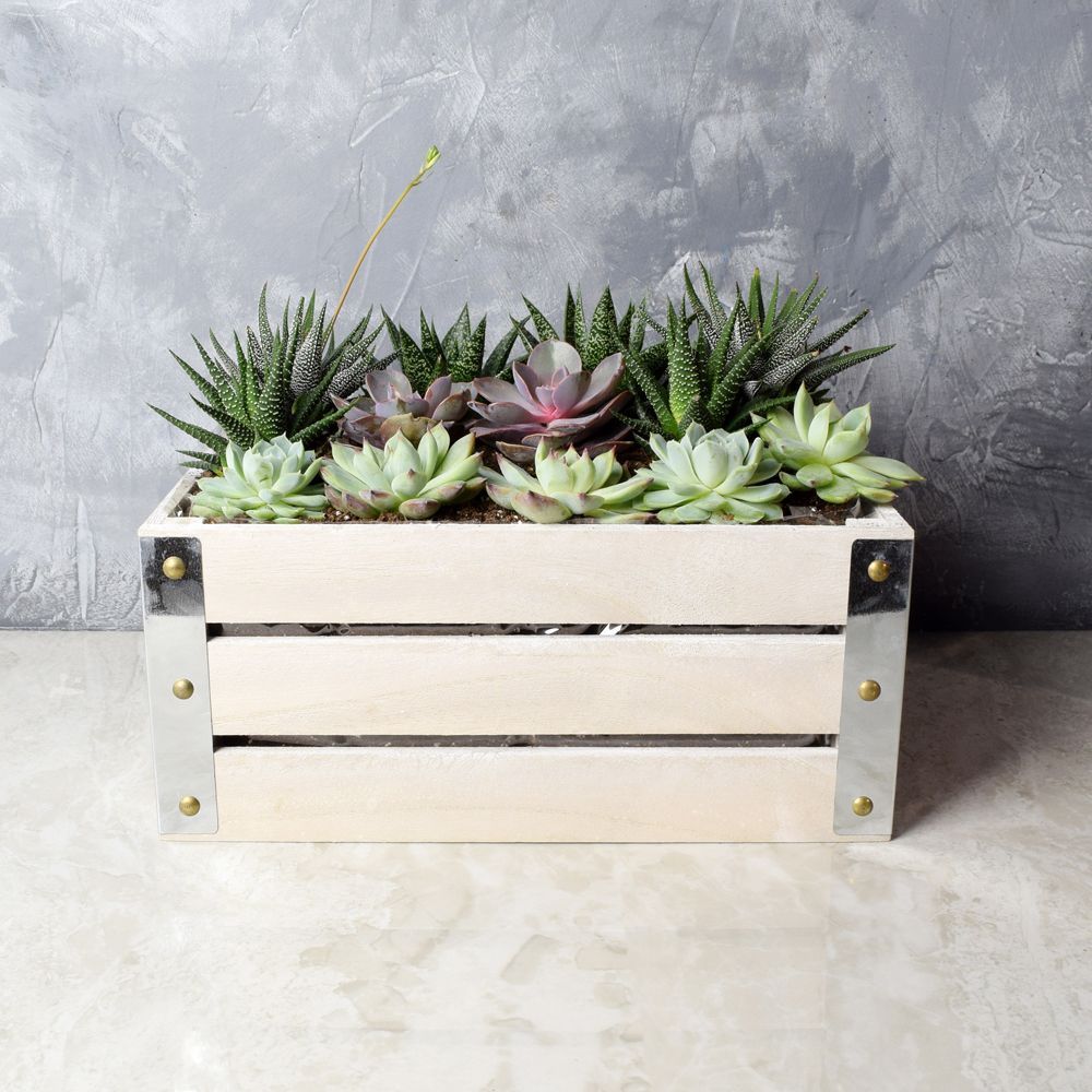 Succulent Plant Wooden Crate – how the gift is presented
