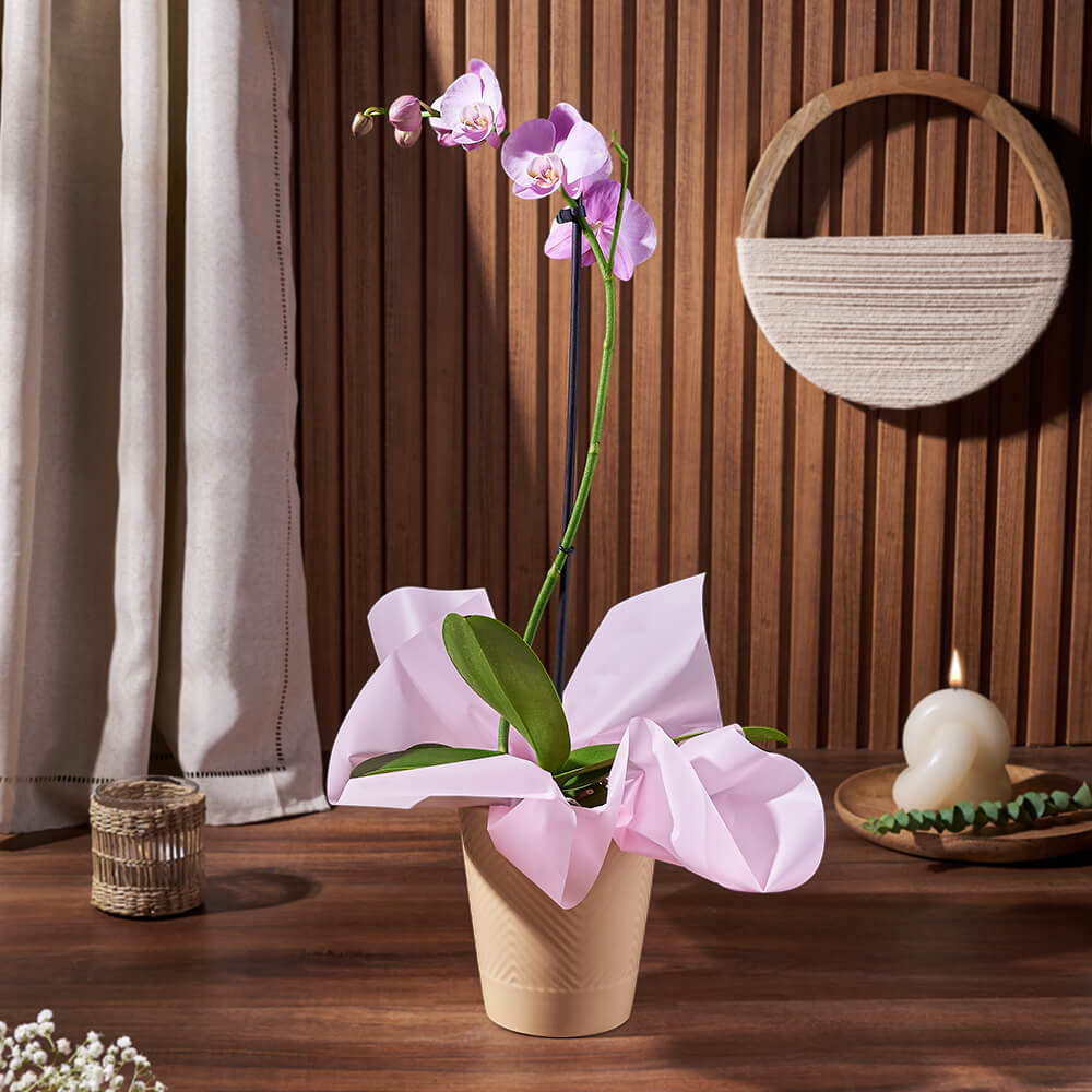 Purple Orchid Flower Pot – how the gift is presented