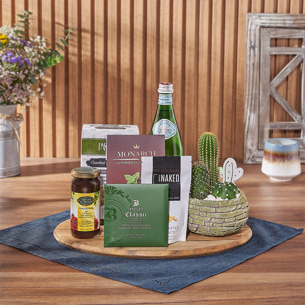 Assorted Kosher Snacks with Cacti Planter – how the gift is presented