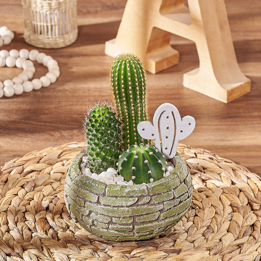 Cactus Trio in Brick Planter – how the gift is presented