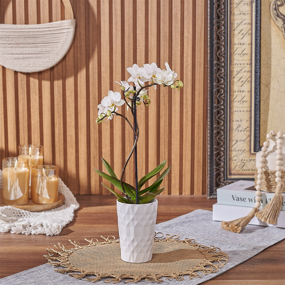 White Orchid Floral Gift – how the gift is presented