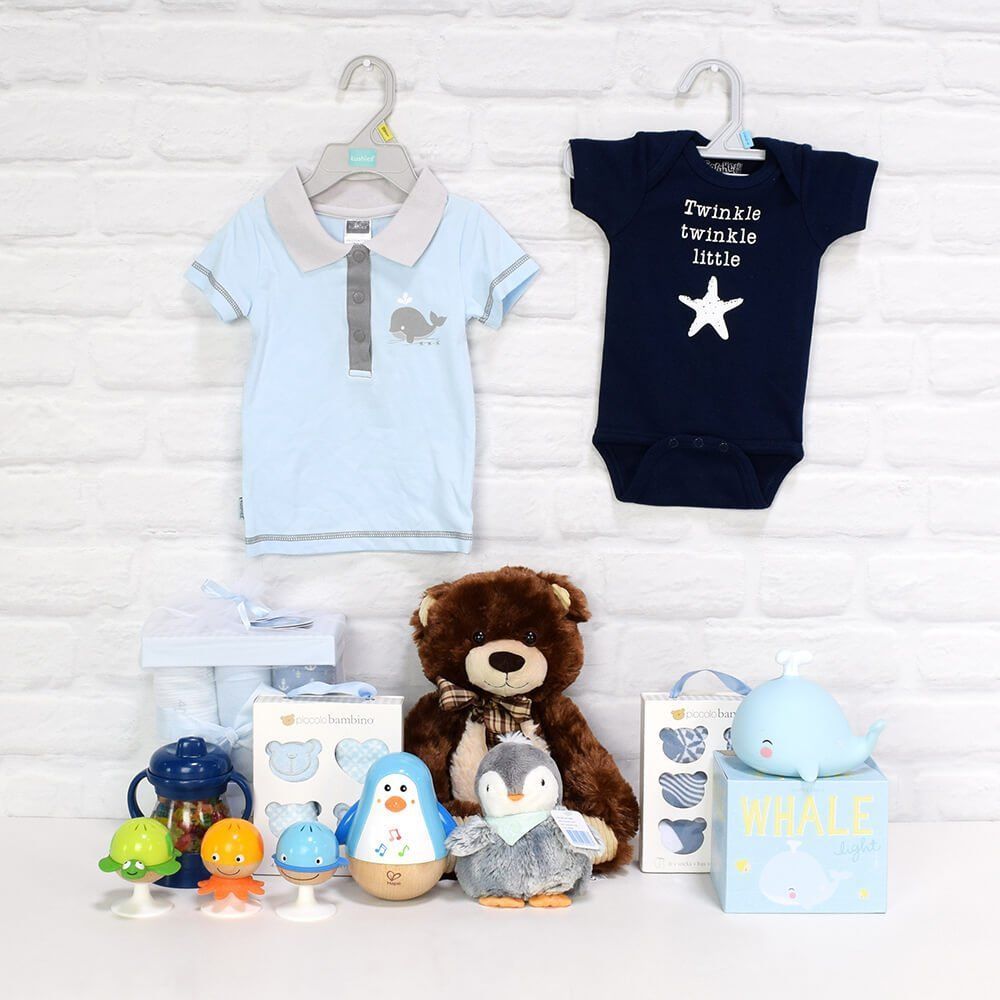 Deluxe Basket for a Baby Boy from  Washington Baskets - Washington Delivery