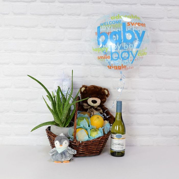 It’s a Baby Boy Gift Basket  Washington Baskets - Washington Delivery