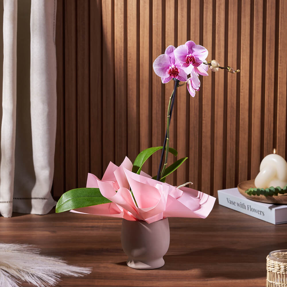 Phalaenopsis Orchid Potted Plant in Stylish Ceramic Container – how the gift is presented
