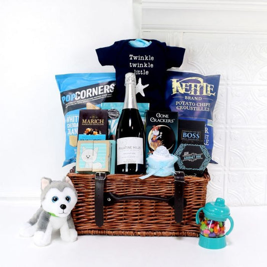 Special Delivery For The Baby Gift Basket from Washington Baskets - Washington Delivery